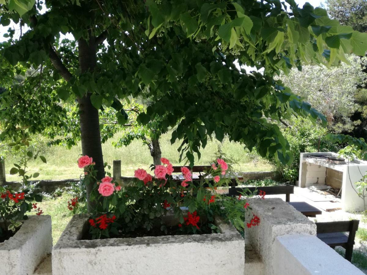 Apartamento & Hegic Zadar